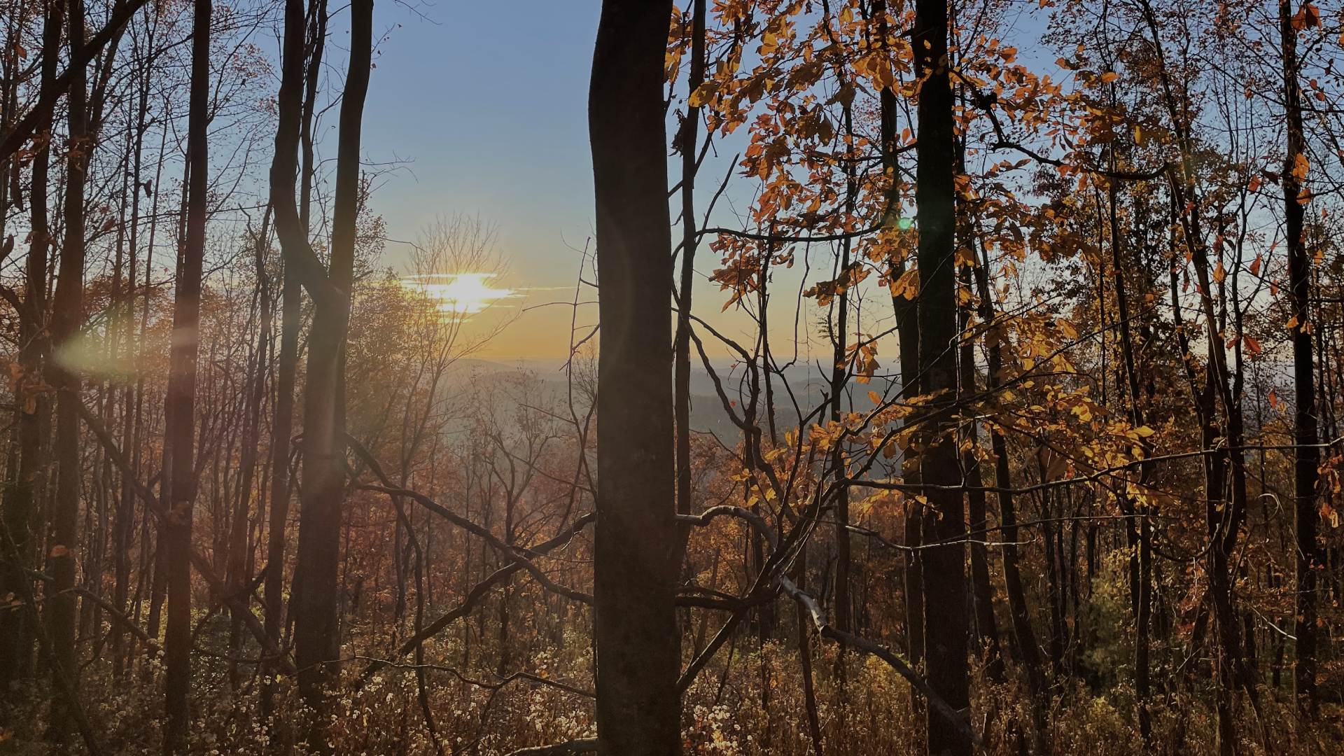 Invisible Retreat Wilkes County NC